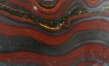 Polished Tiger Iron Stromatolite - ( Billion Years) #62729-1